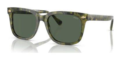 Polo PH4210F Sunglasses Shiny Green Havana / Green