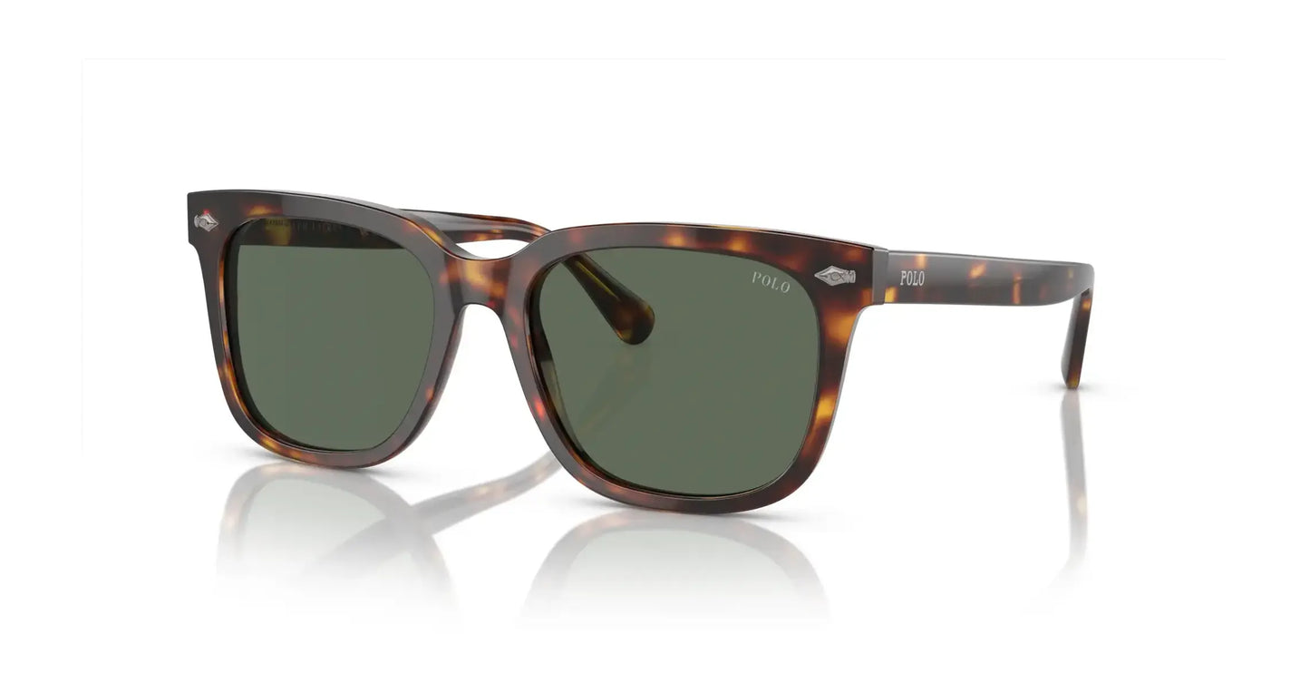 Polo PH4210F Sunglasses Shiny Brown Tortoise / Bottle Green