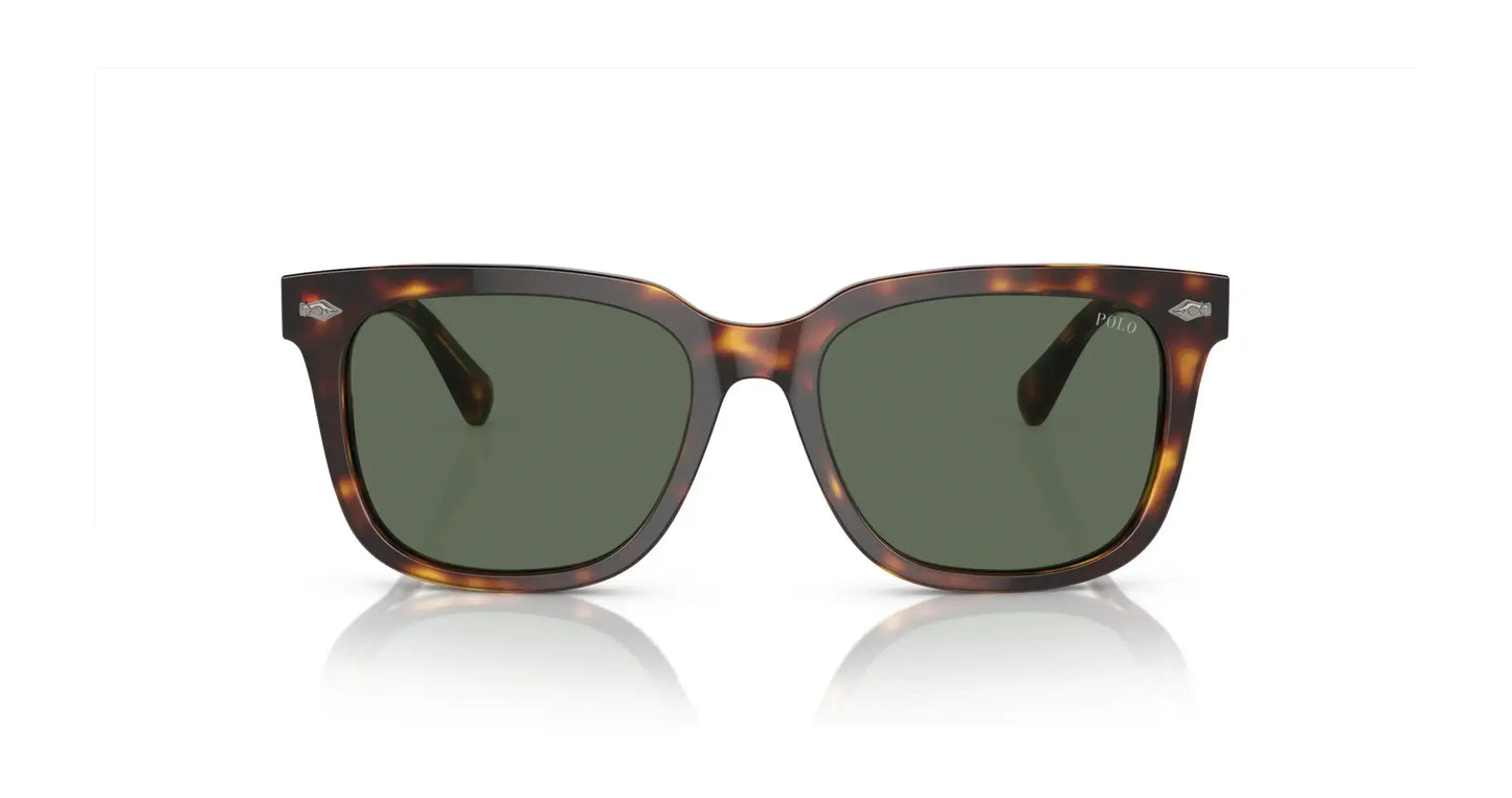 Polo PH4210F Sunglasses | Size 53