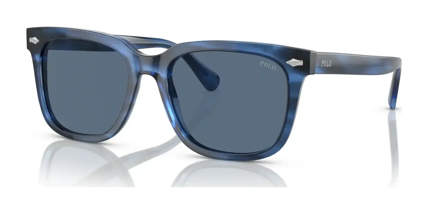 Polo PH4210F Sunglasses Shiny Striped Blue / Blue