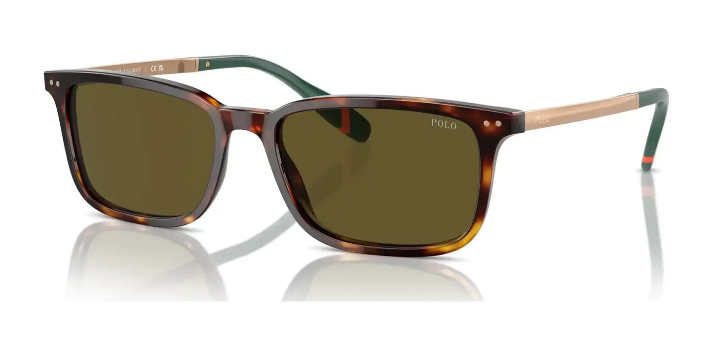 Polo PH4212 Sunglasses Shiny Brown Tortoise / Olive Green