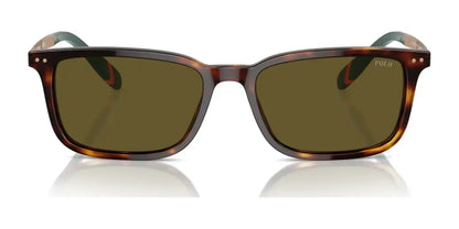 Polo PH4212 Sunglasses | Size 55