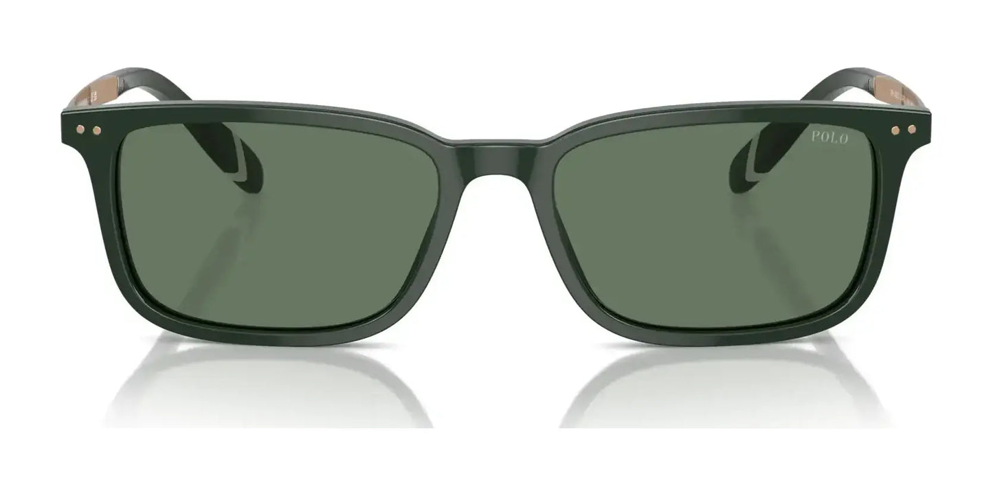 Polo PH4212 Sunglasses | Size 55