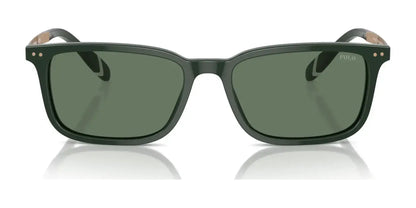 Polo PH4212 Sunglasses | Size 55