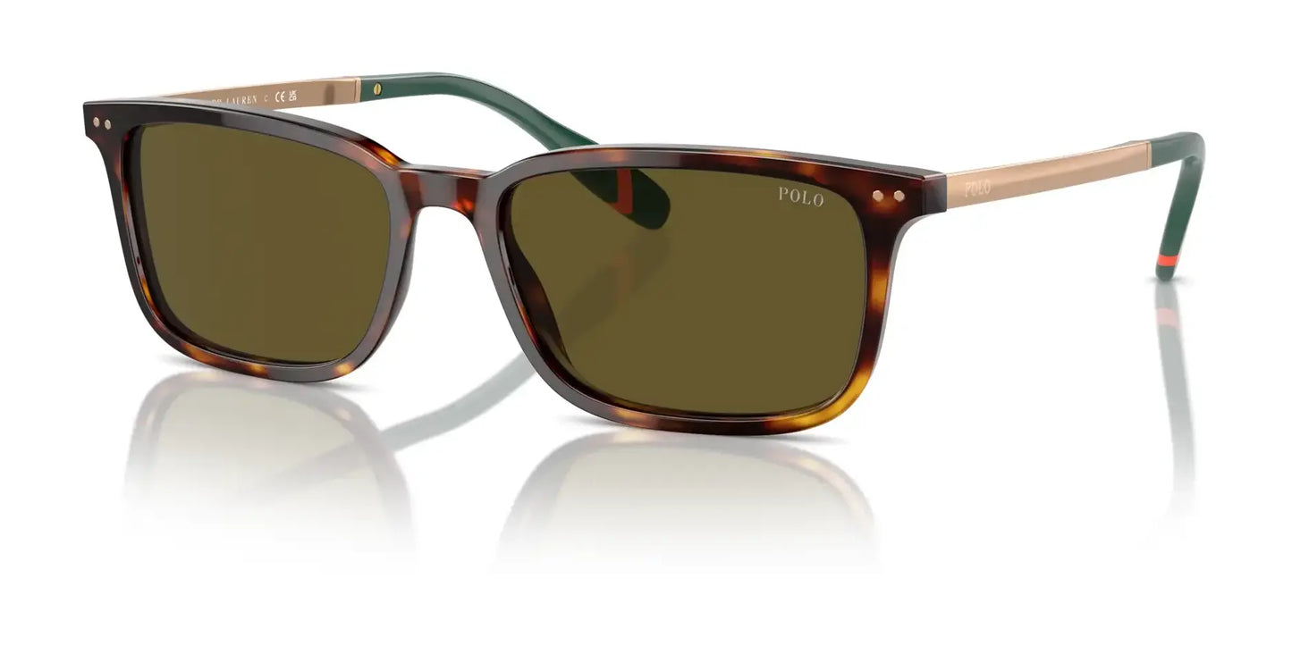 Polo PH4212F Sunglasses Shiny Brown Tortoise / Olive Green