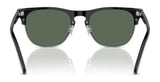 Polo PH4213 Sunglasses | Size 54