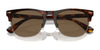 Polo PH4213 Sunglasses | Size 54 / Shiny Black / Dark Grey (3N 9.7%) №500187