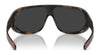 Polo PH4215U Sunglasses | Size 138 / Shiny Black / Light Grey Mirror Silver (3N 15.8%) №50016G