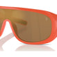 Shiny Orange