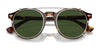 Polo PH4218 Eyeglasses with Sun-clips | Size 51 / Shiny Brown Tortoise / Bottle Green (3N 9.7%) №613771