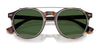 Polo PH4218 Eyeglasses with Sun-clips | Size 51 / Shiny Brown Tortoise / Bottle Green (3N 9.7%) №613771