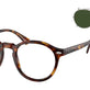 Shiny Brown Tortoise