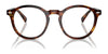 Polo PH4218F Eyeglasses with Sun-clips | Size 51 / Shiny Black / Dark Grey (3N 12.4%) №500187