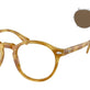 Shiny Light Brown Tortoise