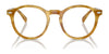 Polo PH4218F Eyeglasses with Sun-clips | Size 51 / Shiny Black / Dark Grey (3N 12.4%) №500187