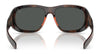 Polo PH4219U Sunglasses | Size 58 / Shiny Black / Dark Grey (3N 12.4%) №500187