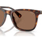 Shiny Brown Tortoise