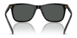 Polo PH4220U Sunglasses | Size 55