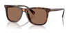 Polo PH4220U Sunglasses | Size 55 / Shiny Brown Tortoise / Dark Brown (3N 13.3%) №613773