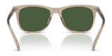 Polo PH4220U Sunglasses | Size 55