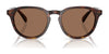 Polo PH4221 Sunglasses | Size 52 / Shiny Black / Dark Grey (3N 12.4%) №500187