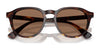 Polo PH4221 Sunglasses | Size 52 / Shiny Black / Dark Grey (3N 12.4%) №500187
