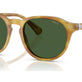 Shiny Tortoise Light Brown