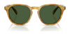 Polo PH4221 Sunglasses | Size 52 / Shiny Black / Dark Grey (3N 12.4%) №500187