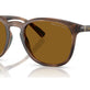 Dark Brown (Polarized) (3P 13.4%) №500383