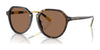 Polo PH4223U Sunglasses | Size 53 / Shiny Dark Havana / Dark Brown (3N 13.3%) №500373