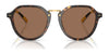 Polo PH4223U Sunglasses | Size 53 / Shiny Black / Dark Grey (3N 12.4%) №500187