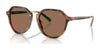 Polo PH4223U Sunglasses | Size 53 / Shiny Red Havana / Dark Brown (3N 13.3%) №608973
