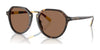 Polo PH4223U Sunglasses | Size 53 / Shiny Dark Havana / Dark Brown (3N 13.3%) №621273