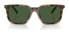 Polo PH4224F Sunglasses | Size 55 / Shiny Black / Dark Grey (3N 12.4%) №500187