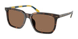 Polo PH4224U Sunglasses Shiny Dark Havana / Dark Brown