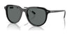 Polo PH4225 Sunglasses | Size 53 / Shiny Black / Dark Grey (Polarized) (3P 10%) №500181