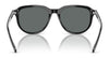 Polo PH4225 Sunglasses | Size 53 / Shiny Dark Green / Dark Brown (3N 13.3%) №542173