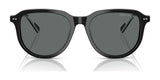 Polo PH4225 Sunglasses | Size 53