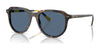 Polo PH4225 Sunglasses | Size 53 / Shiny Dark Havana / Dark Blue (3N 14.9%) №500380