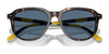 Polo PH4225 Sunglasses | Size 53 / Shiny Dark Green / Dark Brown (3N 13.3%) №542173