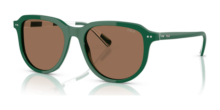 Polo PH4225 Sunglasses | Size 53 / Shiny Dark Green / Dark Brown (3N 13.3%) №542173