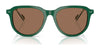 Polo PH4225 Sunglasses | Size 53 / Shiny Dark Green / Dark Brown (3N 13.3%) №542173