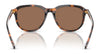 Polo PH4225 Sunglasses | Size 53 / Shiny Dark Green / Dark Brown (3N 13.3%) №542173