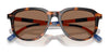 Polo PH4225 Sunglasses | Size 53 / Shiny Dark Green / Dark Brown (3N 13.3%) №542173