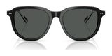 Polo PH4225F Sunglasses | Size 53