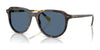 Polo PH4225F Sunglasses | Size 53 / Shiny Dark Havana / Dark Blue (3N 14.9%) №500380