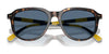 Polo PH4225F Sunglasses | Size 53 / Shiny Black / Dark Grey (3N 12.4%) №500187