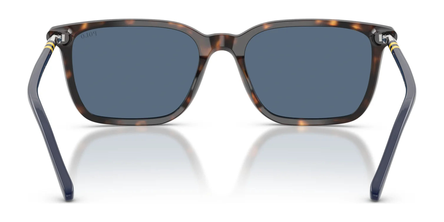 Polo PH4226 Sunglasses | Size 56