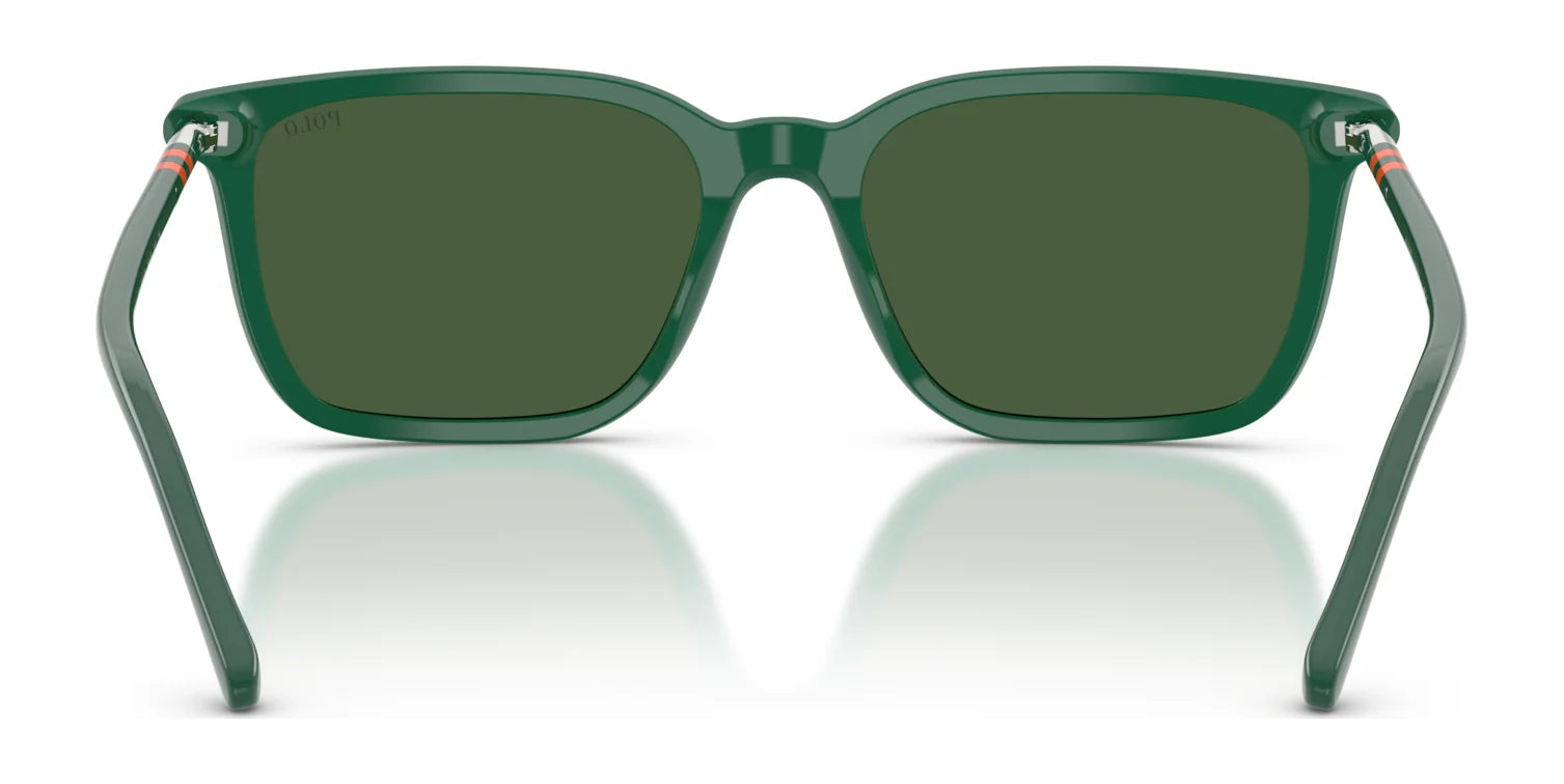 Polo PH4226 Sunglasses | Size 56