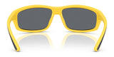 Polo PH4227U Sunglasses | Size 66